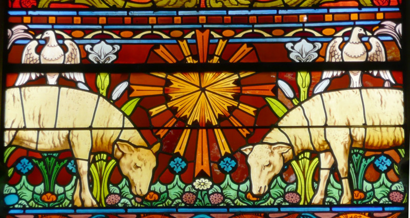 agneaux-de-car-me-416 agneaux-de-car-me-416