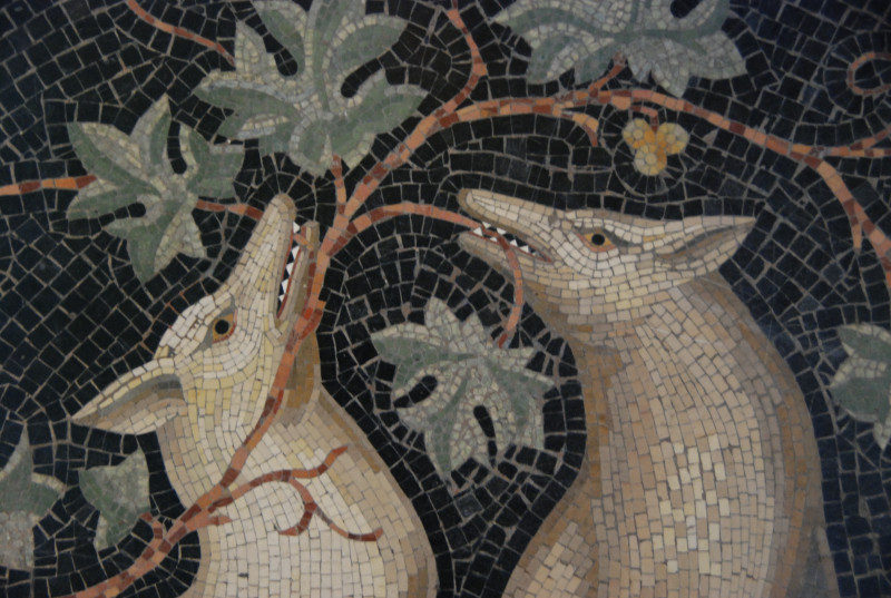 dsc-0103-417 dsc-0103-417